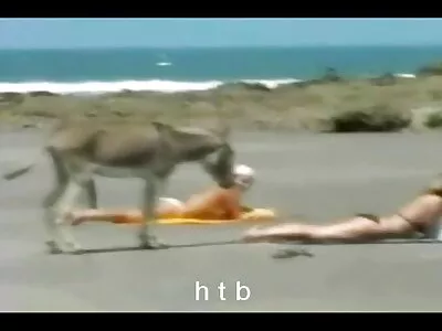 ویدیو Love بازی سکسی واقعی To Love Ya (کی لا)